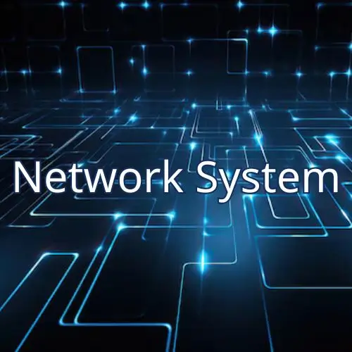 Network System
